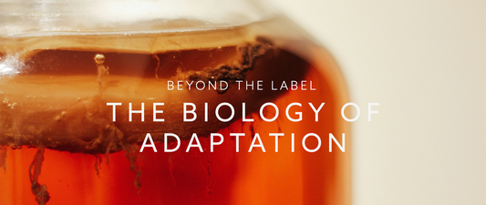 Metabolic Flexibility, teaching your body to adapt