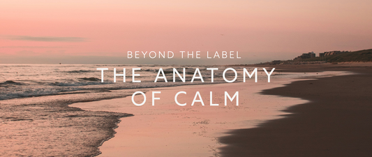The nerve every biohacker is quietly obsessed with