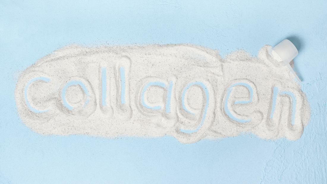 collagen written in collagen powder